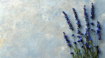 Vibrant lavender stems arranged against a textured pastel background showcasing natural beauty and serenity