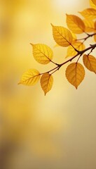 Fototapeta premium Branch with yellow leaves on light brown background, tree, cozy