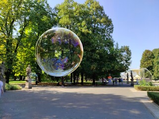 soap bubbles in the park