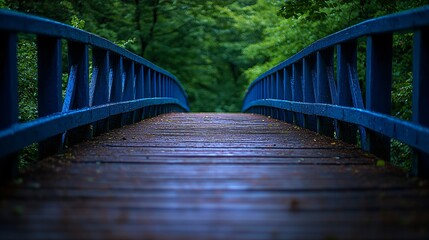 Fototapeta premium Wooden bridge through green forest