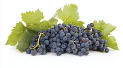 Fototapeta premium Fresh grapes with green leaves, perfect for healthy snacking or cooking
