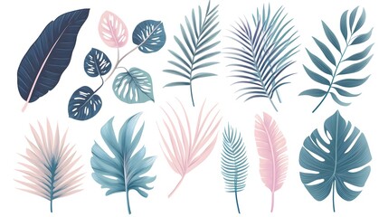 Exotic Collection of Tropical Leaves for Graphic Design Projects