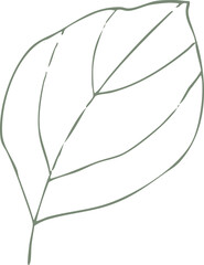 Delicate Leaf Outline