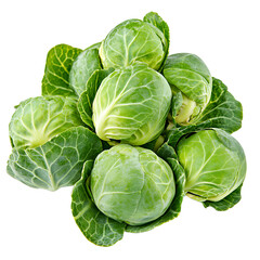 Fototapeta premium Fresh Green Brussels Sprouts Close Up Bunch Healthy Vegetable Food Vitamin Rich Produce