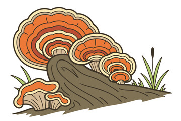 19 vibrant polypore mushroom, tree fungus, bracket fungi, colorful wood decay, layered organic growth, concentric rings, orange and brown tones, natural texture, biological detail, macro photography,  © Manik Mia