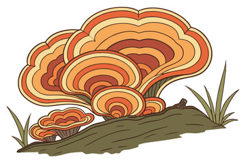 19 vibrant polypore mushroom, tree fungus, bracket fungi, colorful wood decay, layered organic growth, concentric rings, orange and brown tones, natural texture, biological detail, macro photography, 