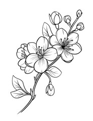 Cherry Blossom Coloring Page – Springtime Floral Illustration