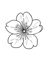 Cherry Blossom Coloring Page – Springtime Floral Illustration