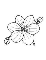Cherry Blossom Coloring Page – Springtime Floral Illustration
