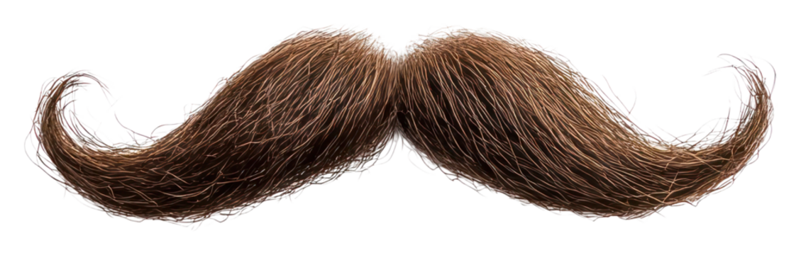 PNG Mustache mustache accessory grooming.