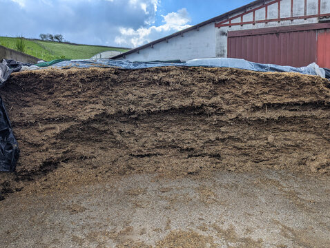 Silo de ra&ccedil;&atilde;o animal para pecu&aacute;ria numa fazenda rural com colinas verdejantes e um c&eacute;u nublado