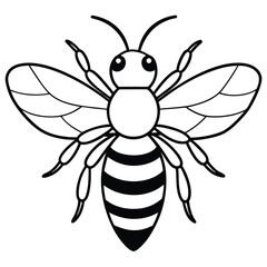 bee isolated on white background