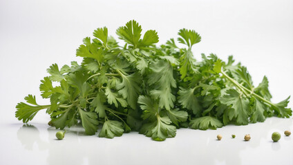 Fototapeta premium Fresh Coriander Isolated on a White Background for Culinary Uses