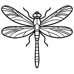 Dragonfly isolated on white background