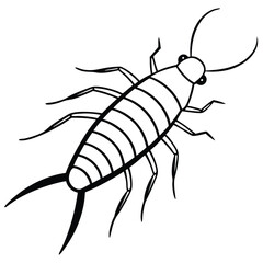 Silverfish isolated on white background