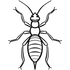 Termite isolated on white background