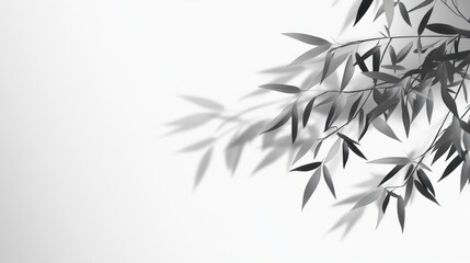 Naklejka premium Abstract monochrome bamboo leaves shadows on white background