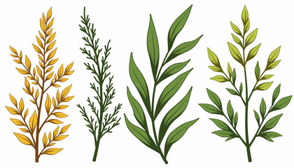 Obraz premium Herbal tea leaves collection in vibrant colors 