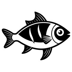 fish on white background