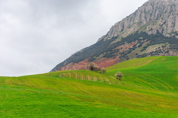 Mountain landscape with green grass in Setif, Algeria.