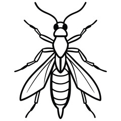 Thrips isolated on white background