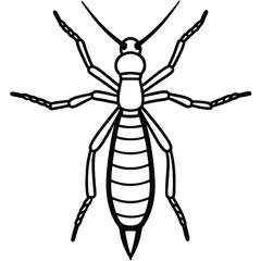 Thrips isolated on white background