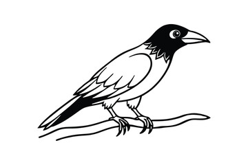 Obraz premium Line art vector illustration of a crow sitting on a branch.eps