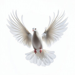 Obraz premium A stunning image of a white dove in flight, perfect for peace-themed events, wedding invitations, or spiritual designs. Ideal for symbolizing freedom and tranquility.