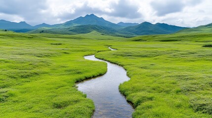 Serene mountain meadow with a winding stream. Lush green grassland stretches across the valley, meeting rolling hills and a clear stream flowing through it.  