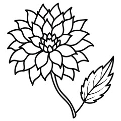 Hyacinth flower with leaf isolated on white background