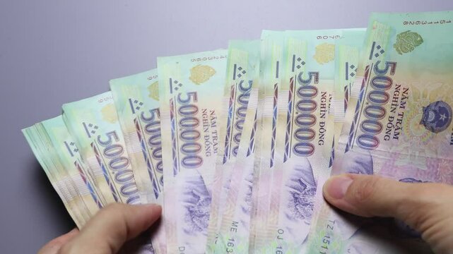 Close up view of female hands fanning out a big stack of Vietnamese banknotes (VND) of five hundred thousand dong denomination on a grey surface of the table. Real time motion video.