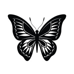 butterfly vector illustration