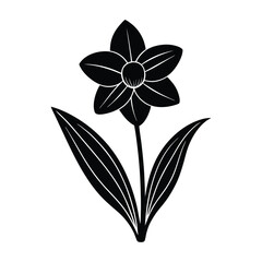 daffodil bud vector illustration