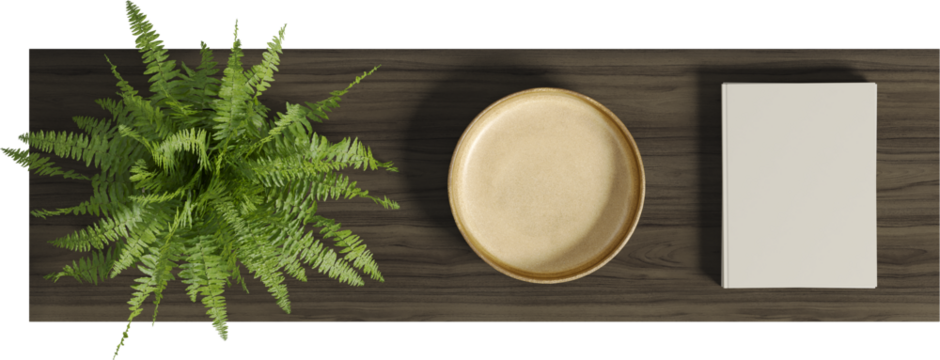 Top view of linear wooden table with vase, books and plant