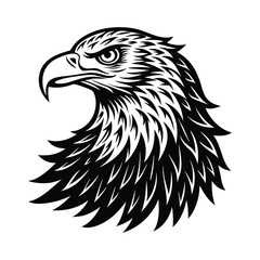 eagle head vector illustration