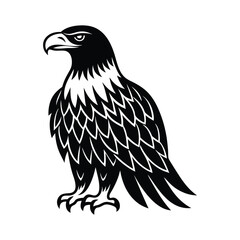 eagle vector illustration