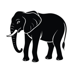 elephant vector illustration