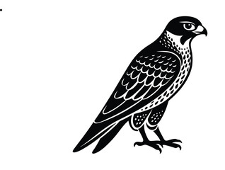 falcon vector illustration