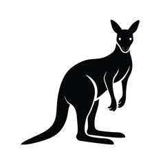 kangaroo vector illustration