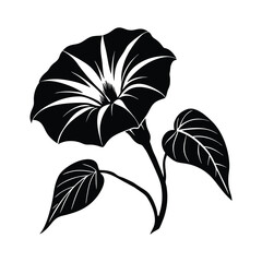 morning vector illustration