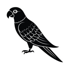 parrot vector illustration