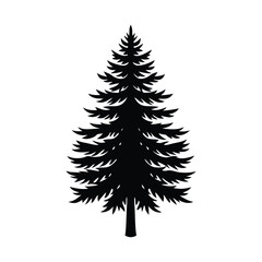pine tree vector illustration