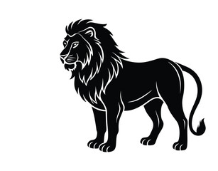 lion vector illustration