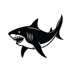 shark vector illustration