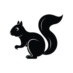 squirrel vector illustration