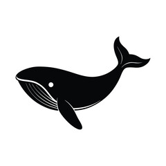 vector illustration of a whale