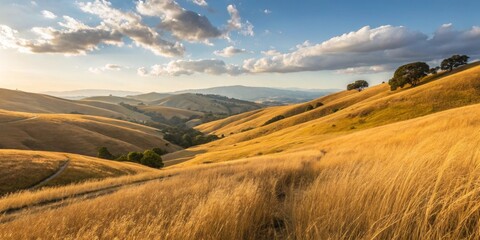 Exploring scenic rolling hills golden grass landscape nature photography warm environment panoramic viewpoint