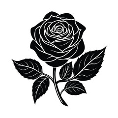 black rose vector illustration
