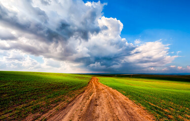 Obraz premium rural road in the field