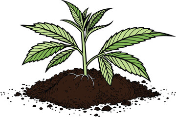 49 Young plant seedling, vibrant green leaves, rich dark soil, mound of earth, white background, macro photography, high detail, crisp focus, organic growth, new life, gardening, botany study, isolate